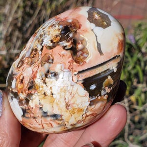 May include: A polished, egg-shaped stone featuring a complex pattern of cream, white, dark brown, and reddish-orange colors. The surface displays intricate swirling inclusions, translucent patches, and dark mineral veins throughout the smooth texture.