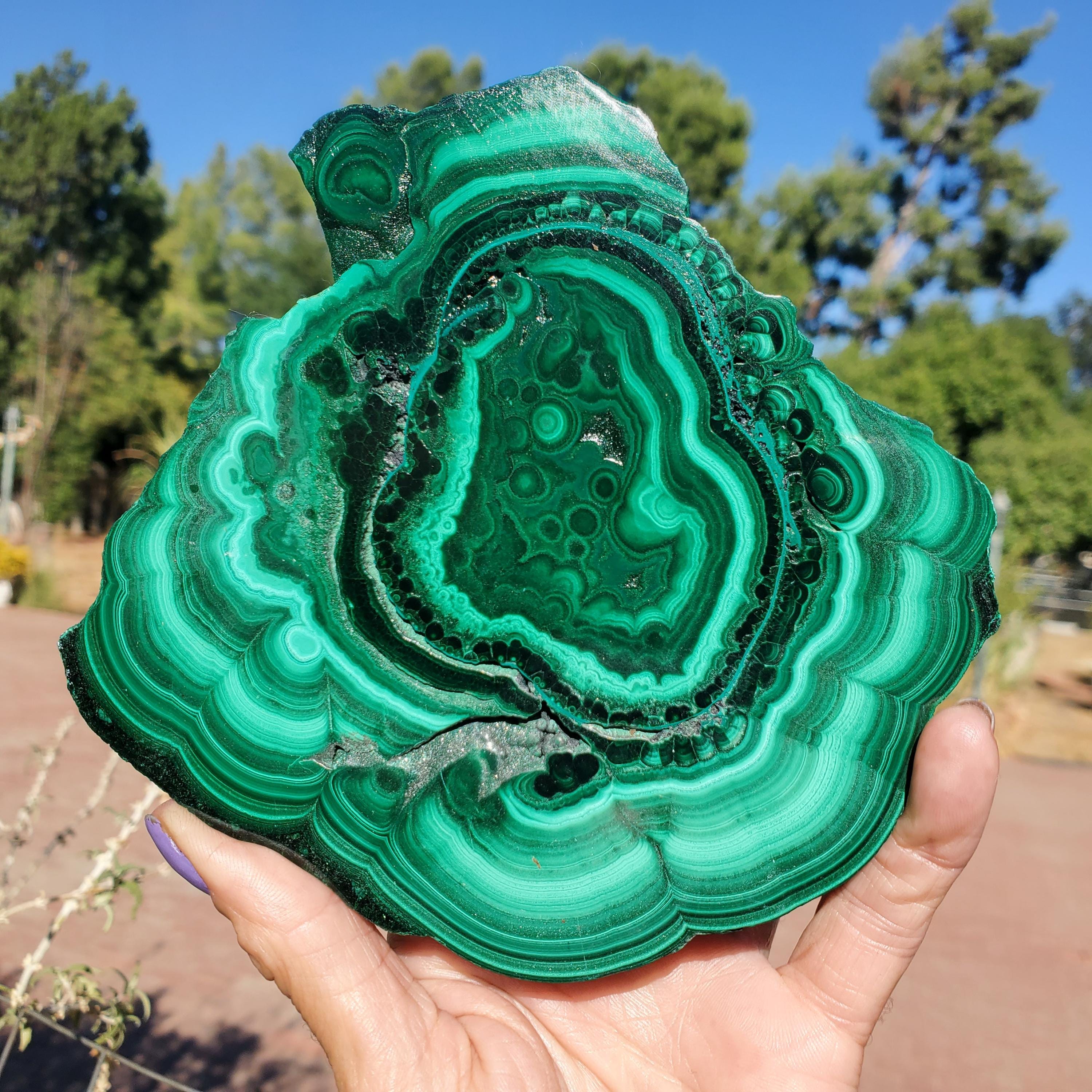 Malachite Polished Slice Slab | Hand-picked | 438 Grams L 1lbs 1oz