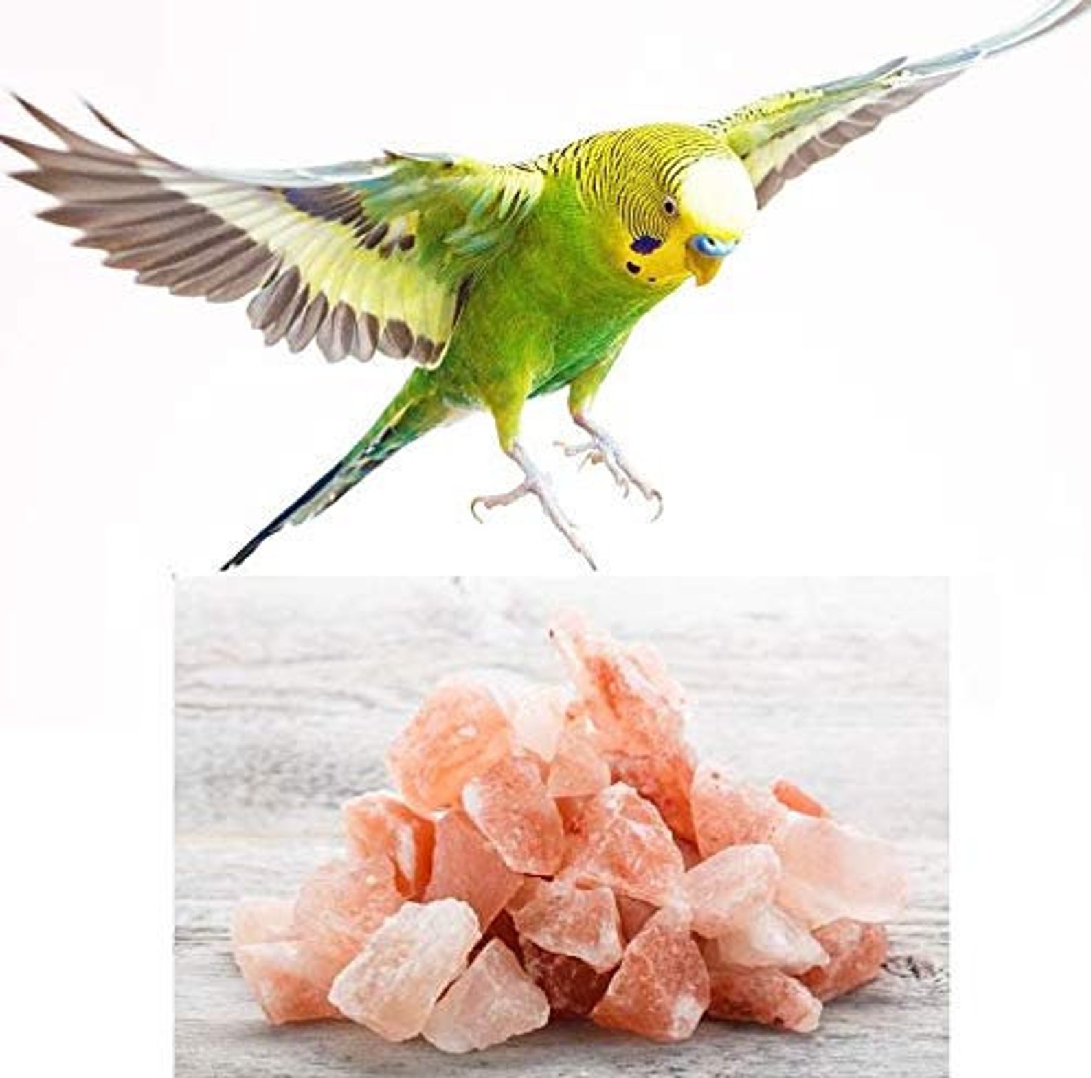 Himalayan rock salt Animal licks 2.5 to 3 kg birds licks Etsy