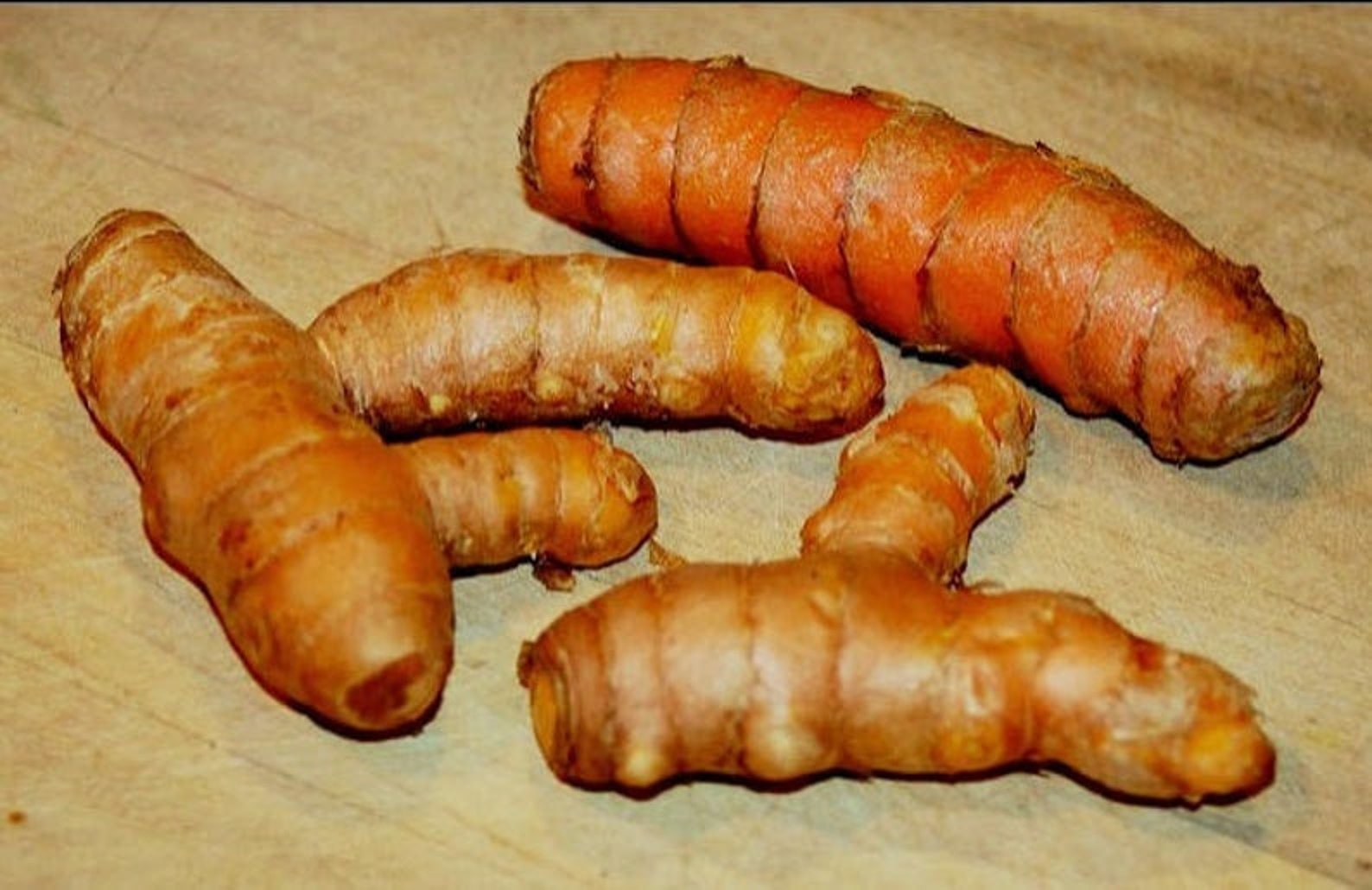 Organic Turmeric Seeds turmeric Roots for Planting Etsy