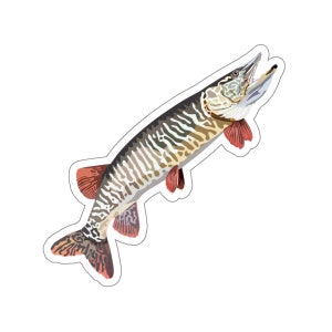 Sticker Decal, Muskie Fishing Localwaters, PNG, 768x768px, Sticker