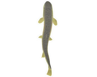 Swimming Brown Trout Sticker | Kiss-Cut Vinyl Fishing Decal