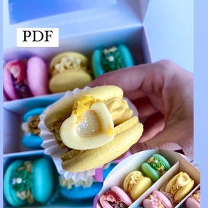 French Macaron  Recipe by Dry egg white. PDF Teacher French Macaron E-book  + Video Masterclass with Subtitles. French method merengue.