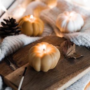 Kürbiskerze / Sojakerze / Herbstdeko / Halloween-Deko / Herbstdeko / Kürbisgewürzkerze / Herbstkerze