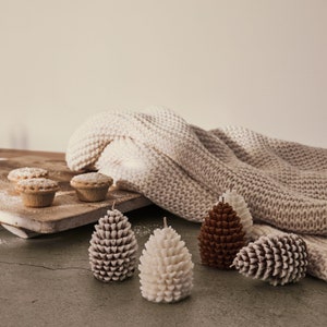 Pine Cone | Soy Candle