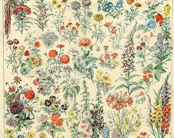 Floral Pattern with Abstract Carnation Flower Motifs Swirled Leaves Ornate Antique Cozy Plush for Indoor and Outdoor Use Ambesonne Floral Soft Flannel Fleece Throw Blanket Grey White 50 x 70 Floral Pattern with Abstract Carnation Flower Motifs Swirled Leaves Ornate Antique Cozy Plush for Indoor and Outdoor Use Ambesonne Floral Soft Flannel Fleece Throw Blanket Grey White 50 x 70