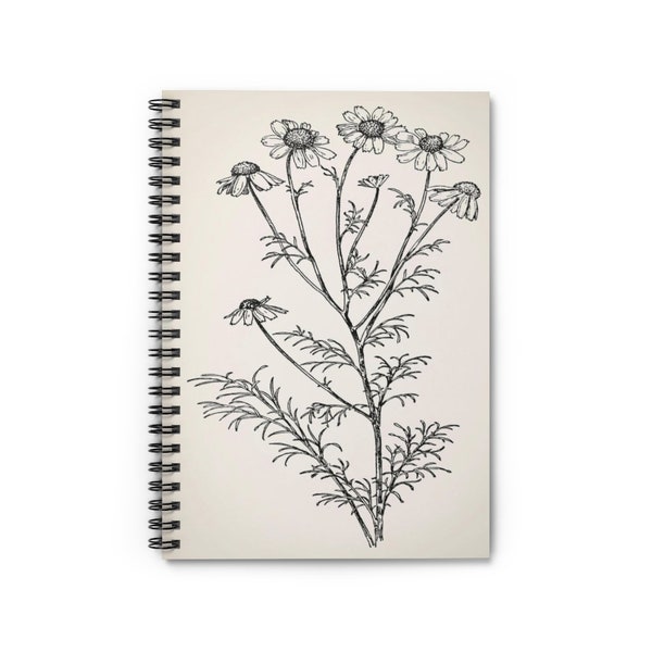 Anthemis Cotula by L. H. Bailey 1917 | College Ruled Line Paper Spiral Notebook A5 6x8 Inch Vintage Art Journal