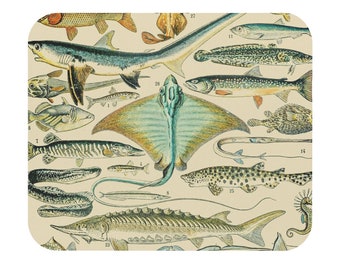 Poissons II by Adolphe Millot 1857-1921 Fishing Diagram Seafood Restaurant Owner Nature Ocean Sea Creatures Fish | Vintage Art Mouse Pad