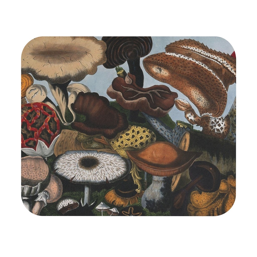 Fourteen Champignons by A. Cornillon 1827 Abstract Retro