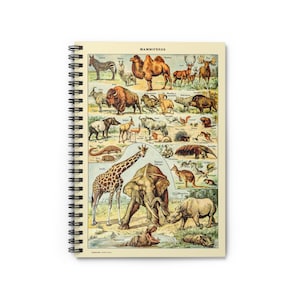 Mammifers by Adolphe Millot 1857-1921 Safari Zoo Wildlife Giraffe Elephant Cover Spiral Notebook Ruled Line Paper A5 6x8 Inch Size Journal