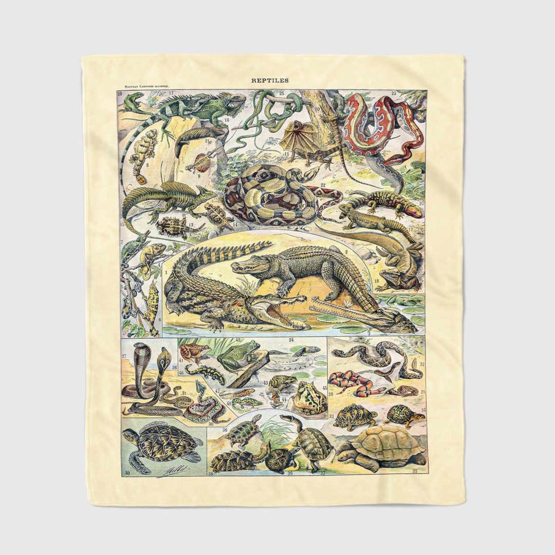 THROW BLANKET Reptiles by Adolphe Millot 18571921 Soft Cozy Comfort