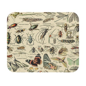 Arthropodes by Adolphe Millot 1857-1921 Bug Moth Insect Creepy Crawling Ants Retro Artsy Nature Diagram Goblincore | Vintage Art Mouse Pad