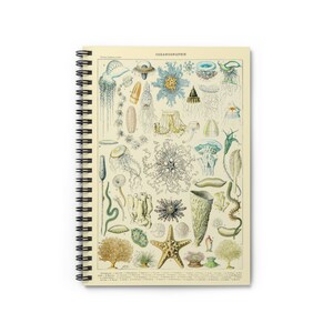Oceanographie II by Adolphe Millot 1857-1921 Underwater Sea Creature Shells Cover Spiral Notebook Ruled Line Paper A5 6x8 Inch Size Journal