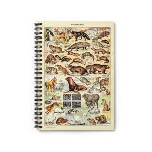 Fourrures by Adolphe Millot 1857-1921 Wild Animal Identification Zoology Cover Spiral Notebook Ruled Line Paper A5 6x8 Inch Size Journal