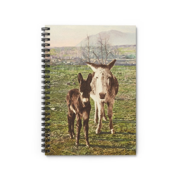 Rocky Mountain Donkey Film Photograph by Detroit Photographic Co 1898 Animal Cover Spiral Notebook Ruled Line Paper A5 6x8 Inch Size Journal