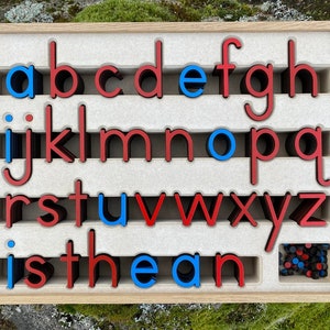 Movable Alphabet. English. Montessori method of education. Small letters.