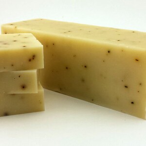 Eucalyptus Aloe Soap Bar