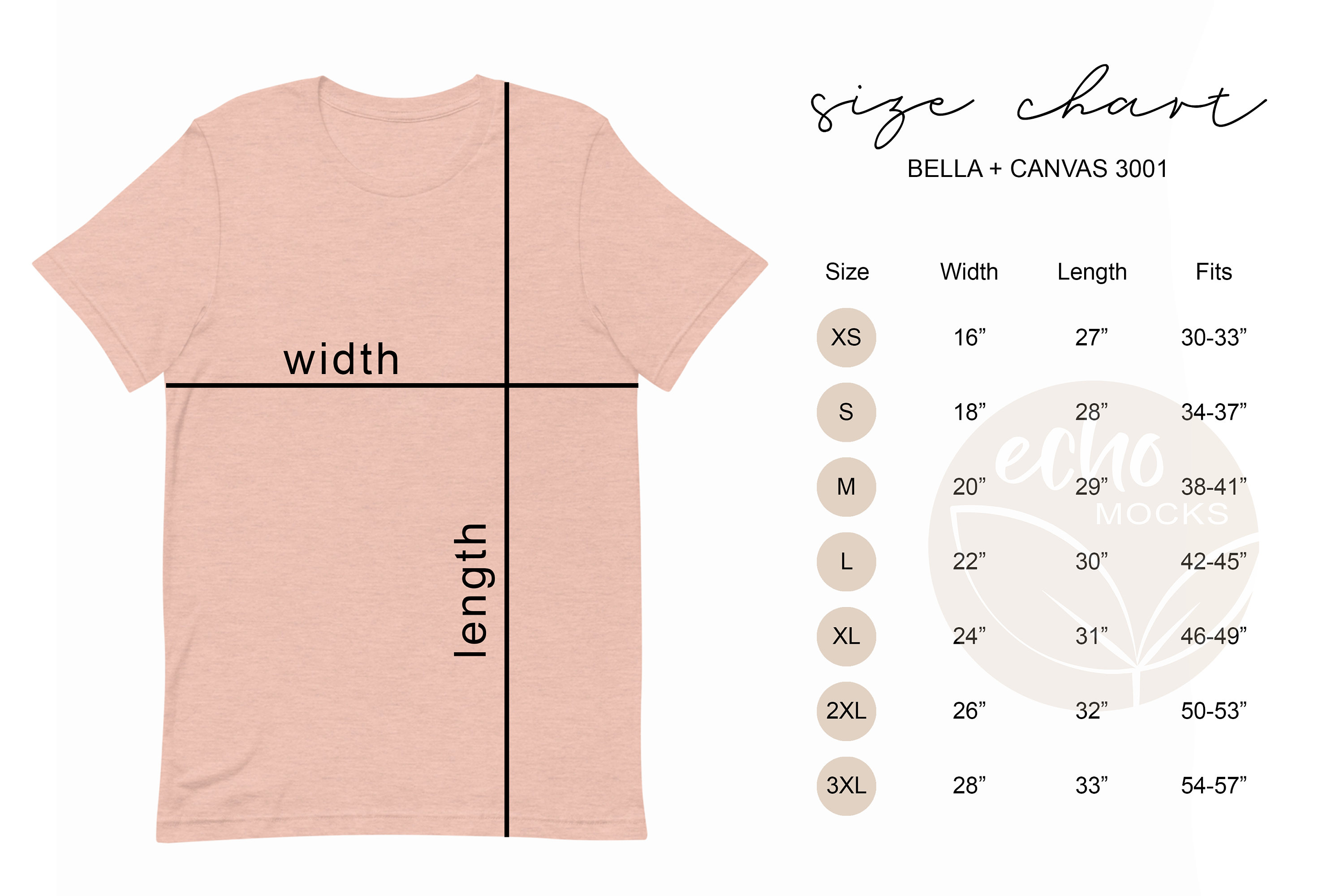 Bella Canvas 3001 XS-3XL Size Chart Minimal Light Modern | Etsy