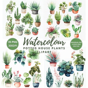 Watercolor Potted House Plants Collection 35 PNG Clipart 300 dpi - Instant Download Licence Royalty Free Goodnotes stickers autumn Bundle