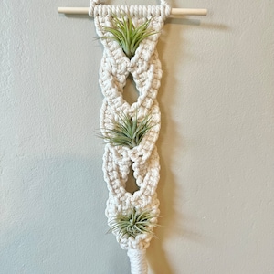 Macrame Air Plant Hanger, Indoor Plant Holder, Boho Home Decor, Neutral Decor, Plant Lover Gift