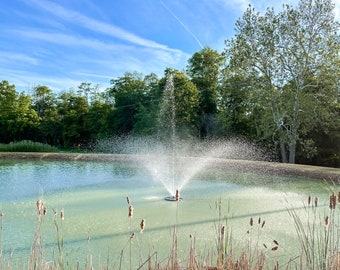 3/4 HP Floating Pond Fountain with Lights