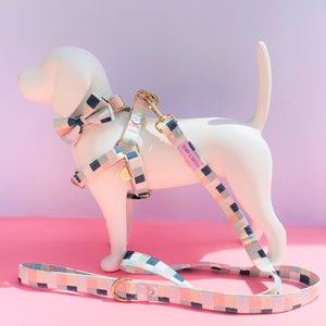 Comfy Cotton Candy Dog Harness