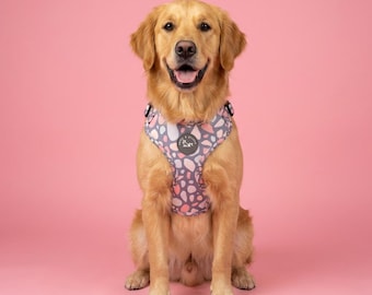 Trendy Terrazzo Hundegeschirr voll verstellbar