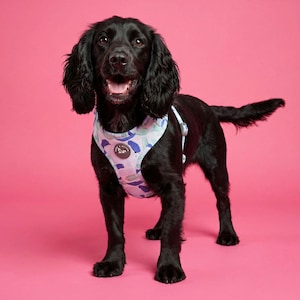Hundegeschirr, strukturierter Pinselstrich-Effekt, voll einstellbar Bild 1