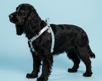 Bequemes Hundegeschirr aus Baumwolle mit blauem Tartanmuster