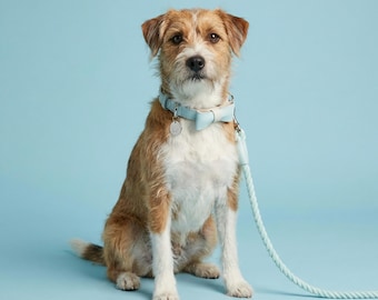 Aquamarine Traditional Leather and Rope Dog Lead