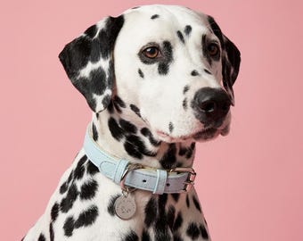 Aquamarine Traditional European Leather Dog Collar