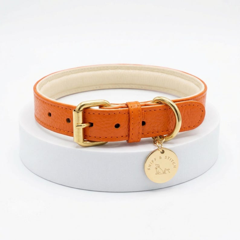 Puede incluir: Collar de perro de cuero naranja con interior acolchado color crema. El collar tiene una hebilla dorada y un dije circular a juego con el texto "SNIFF & STITCH" y una silueta de perro.