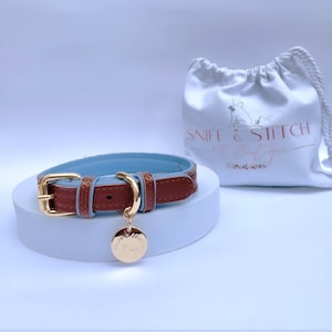 Collar tradicional europeo de cuero para perros en marrón y azul con forro de cuero azul clásico y detalle de borde