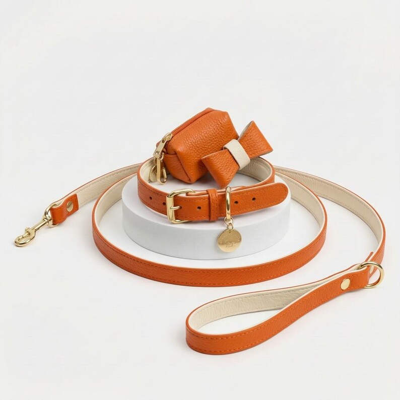 Puede incluir: Un conjunto de collar y correa de cuero naranja brillante para mascotas. El collar cuenta con una hebilla dorada, una peque&ntilde;a placa redonda dorada y un lazo decorativo naranja con un centro crema. Una peque&ntilde;a bolsa naranja est&aacute; unida al collar.