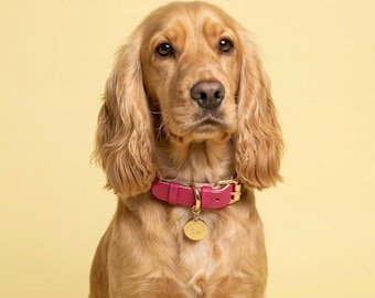 Collar de cuero para perro con diseño de ondas frambuesa /