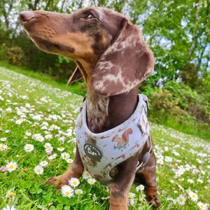 Dog Harness, Grey Squirrel pattern harness. Fully Adjustable image 6