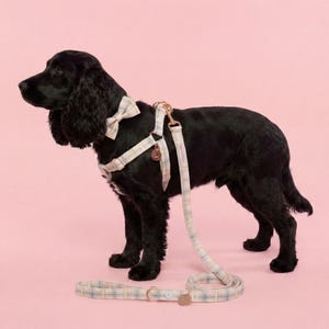 Comoda pettorina per cani color zucchero filato