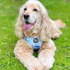 K&ouml;nnte beinhalten: Ein hellbrauner Cocker Spaniel, der ein blaues und gr&uuml;nes gemustertes Hundegeschirr mit dem Text "Woof & Wander" auf der Vorderseite tr&auml;gt. Der Hund liegt auf gr&uuml;nem Gras mit herausgestreckter Zunge.