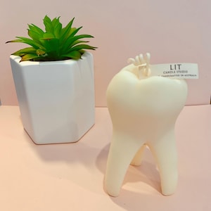 Puede incluir: Una vela blanca con forma de diente con una mecha. La vela está sobre una superficie rosa. Una pequeña planta suculenta verde está en una maceta blanca a la izquierda de la vela. La vela tiene una etiqueta que dice "LIT CANDLE STUDIO HANDCRAFTED IN AUSTRALIA."