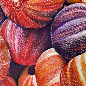ricci di mare, pittura di mare, pittura di corallo, opera d'arte originale, dipinto originale, acquerello, arredamento per la casa, arte del soggiorno, pittura per la casa,