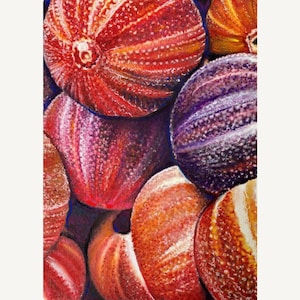 Originales Seeigel-Aquarellgemälde, vom Meer inspiriertes Muschelkunstwerk, maritimes Küstendekor, lebendiges Strandstillleben auf Papier