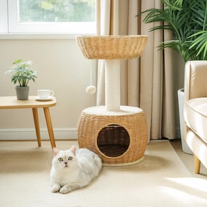 Cat Tree for Compact Areas Cat furniture with multiple levels for indoor cats