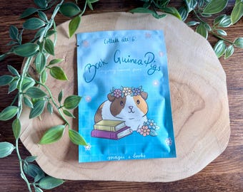 Book Guinea Pigs Mystery Phone Charm Blind Bag | Acrylic | Flower Crown | Reading | Books