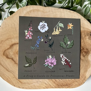 Le guide d'une grenouille sur les plantes vénéneuses | Grenouille | Botanique | Carré | Impression