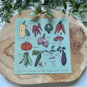 Carte postale « Guide d'une vache au potager » | Raton laveur | Botanique | Carré | Impression