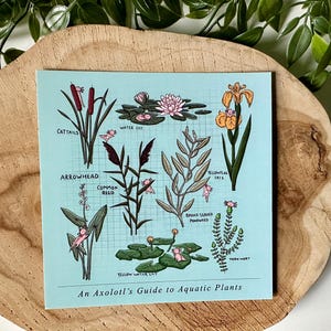 Carte postale « Guide des plantes aquatiques » d'Axolotl | Axolotl | Botanique | Carré | Impression