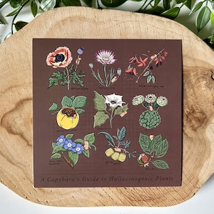 Carte postale de Capybara sur les plantes hallucinogènes | Capybara | Botanique | Carré | Impression