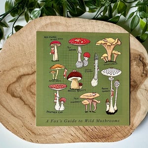 Un guide de Fox sur les champignons sauvages Cartes Postales | Renard | Botanique | Carré | Impression