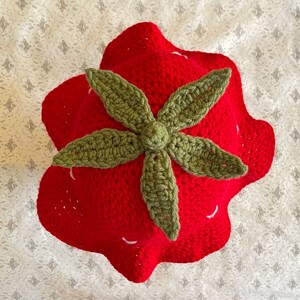 May include: A red crocheted strawberry hat with a green crocheted leaf on top.