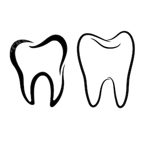 Dent SVG | Dents SVG | Dentiste SVG | Fée des dents Svg | Dent de sagesse Svg | Dents de sagesse Svg | Cricut Svg